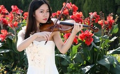 云缨救公孙离网址